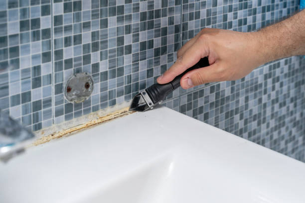Best Mold Testing  in Hasson Heights, PA