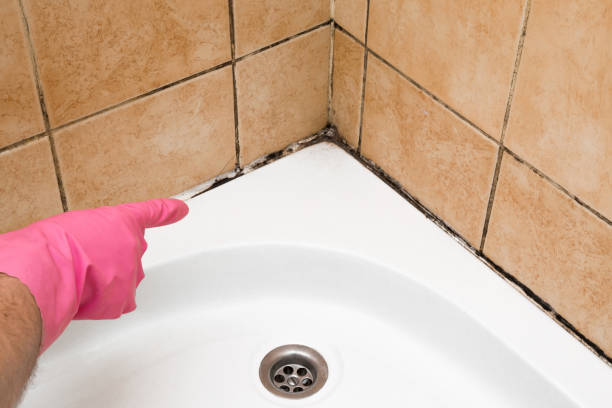 Best Mold Testing  in Hasson Heights, PA